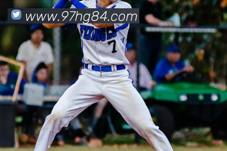 凤凰娱乐平台生态图